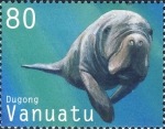Dugong dugon Dugong dugon