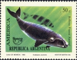 Eubalaena australis Eubalaena australis