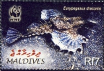 Gasterosteiformes