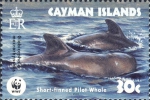 Mammalia