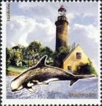 Denemarken, Hirsholm & Grampus griseus