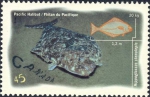 Hippoglossus stenolepis Hippoglossus stenolepis