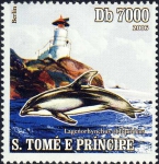 Zweden, Berlin & Lagenorhynchus obliquidens