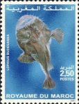 Lophius budegassa Lophius budegassa