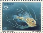Lophius piscatorius (juv.) Lophius piscatorius (juv.)