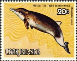 Mammalia