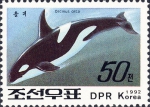 Mammalia