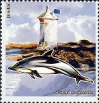 Zweden, J�rnsk�r & Stenella coeruleoalba