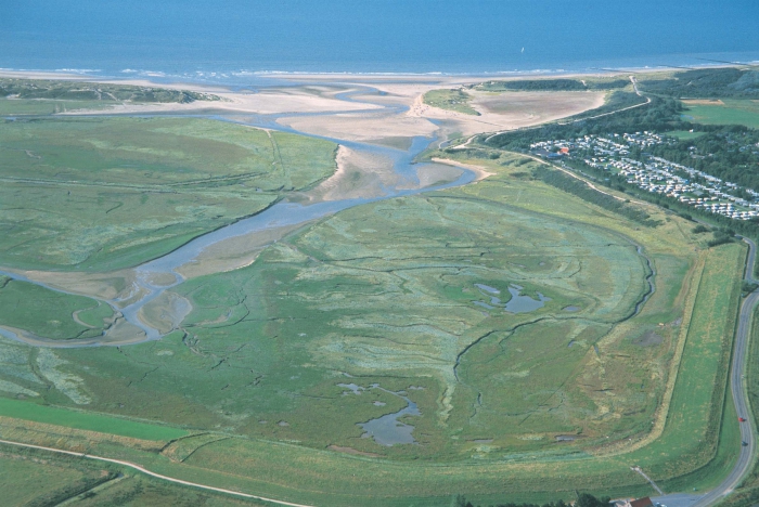 'Het Zwin' anno 2005