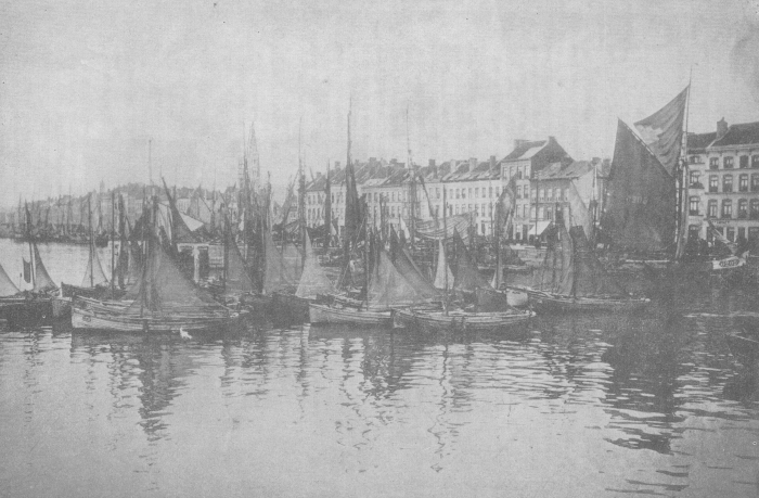 Desnerck (1974, fig. 082)