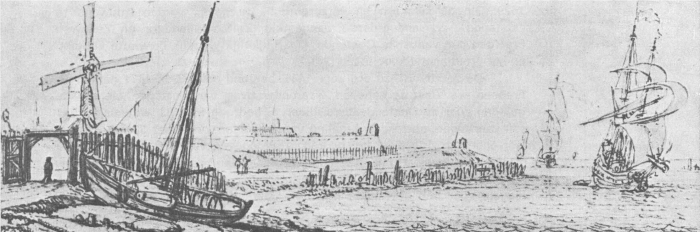 Desnerck (1974, fig. 085)