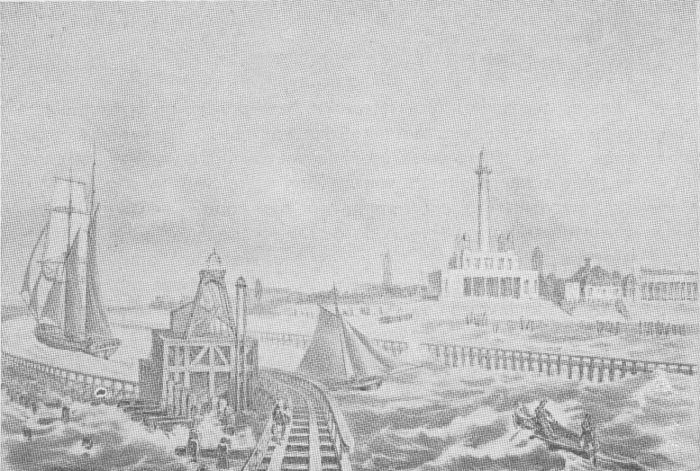 Desnerck (1974, fig. 088)