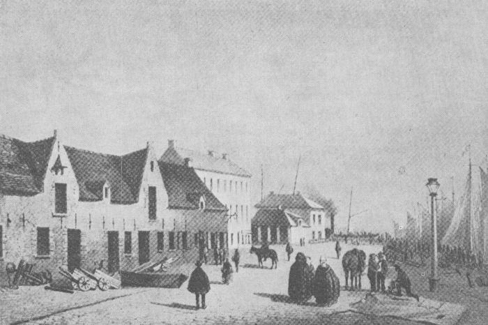 Desnerck (1974, fig. 089)