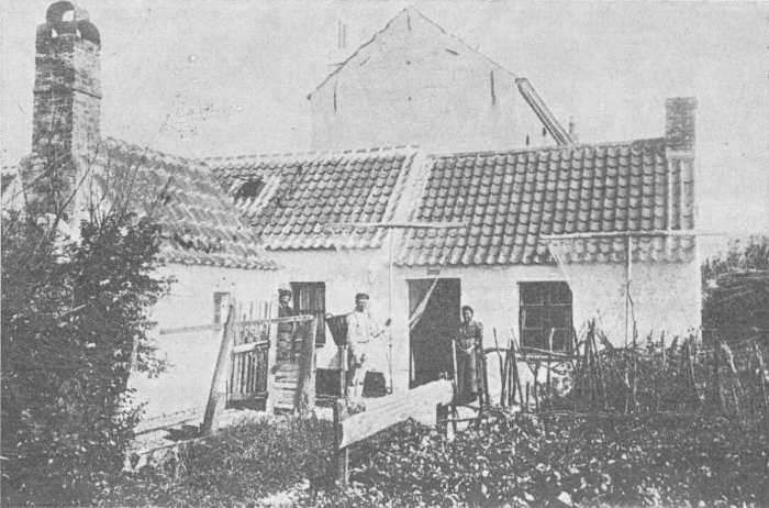 Desnerck (1974, fig. 175)