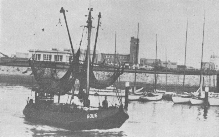 Desnerck (1974, fig. 179)