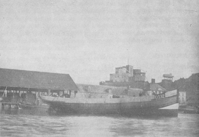 Desnerck (1974, fig. 190)