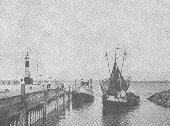 Desnerck (1974, fig. 213)