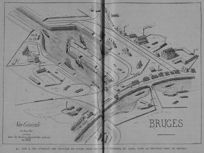 Auguin (1899, fig. 41)