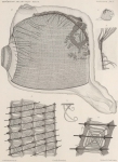 Van Beneden; de Selys Longchamps (1913, plaat 1)