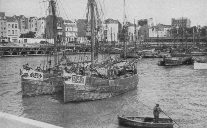 Verbrugghe (1932, fig. 07)