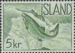 Salmo salar Salmo salar