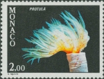 Protula sp. Protula sp.