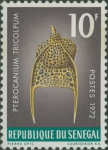 Pterocanium tricolpum Pterocanium tricolpum