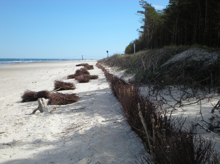 Soft shore protection