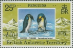 Aptenodytes forsteri