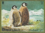 Aptenodytes forsteri