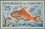 Dentex filosus