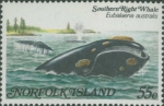 Eubalaena australis Eubalaena australis