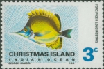 Forcipiger longirostris