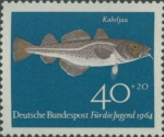 Gadus morhua