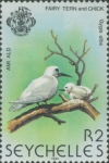 Gygis alba