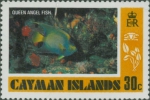 Holacanthus ciliaris