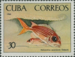 Holocentrus adscensionis
