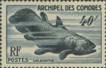 Pisces (fish)