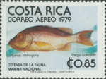 Lutjanus mahogoni