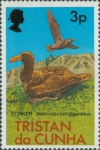 Macronectes giganteus