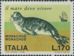 Monachus monachus Monachus monachus