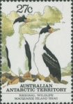Phalacrocorax atriceps purpurascens