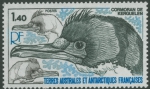 Phalacrocorax verrucosus