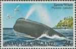 Physeter catodon