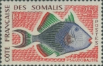 Pseudobalistes sp.