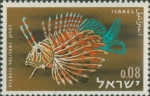 Pterois volitans