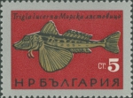 Scorpaeniformes