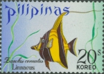 Zanclus cornutus