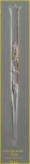 Salpingacantha ampla Kofoid & Campbell, 1929 Salpingacantha ampla Kofoid & Campbell, 1929