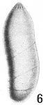 Nodosaria roemeri